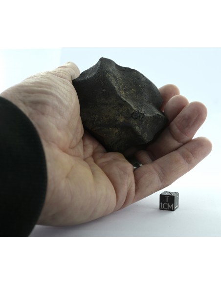 Murchison CM2 Carbonaceous Chondrite 134.85 g | Complete Witnessed Fal