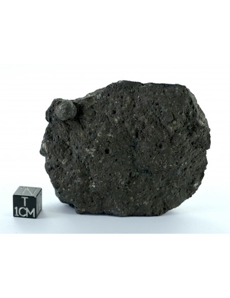 Allende CV3 Carbonaceous Chondrite 164.50 g Large Protruding Chondrule