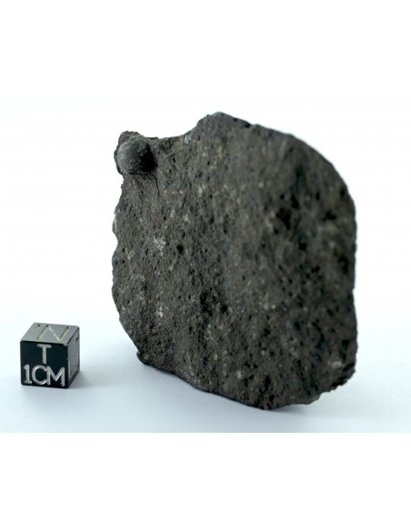 Allende CV3 Carbonaceous Chondrite 164.50 g Large Protruding Chondrule