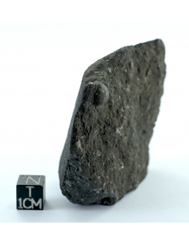 Allende CV3 Carbonaceous Chondrite 164.50 g Large Protruding Chondrule
