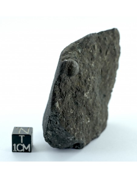 Allende CV3 Carbonaceous Chondrite 164.50 g Large Protruding Chondrule