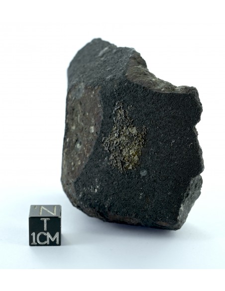 Allende CV3 Carbonaceous Chondrite 164.50 g Large Protruding Chondrule