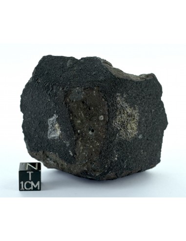 Allende CV3 Carbonaceous Chondrite 164.50 g Large Protruding Chondrule