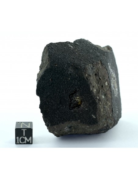 Allende CV3 Carbonaceous Chondrite 164.50 g Large Protruding Chondrule