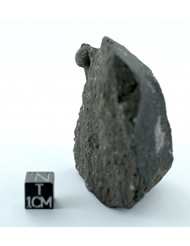 Allende CV3 Carbonaceous Chondrite 164.50 g Large Protruding Chondrule