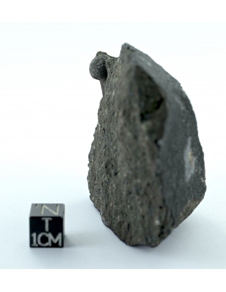 Allende CV3 Carbonaceous Chondrite 164.50 g Large Protruding Chondrule