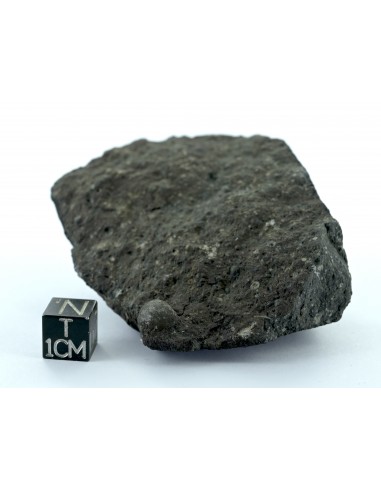 Allende CV3 Carbonaceous Chondrite 164.50 g Large Protruding Chondrule
