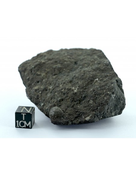 Allende CV3 Carbonaceous Chondrite 164.50 g Large Protruding Chondrule