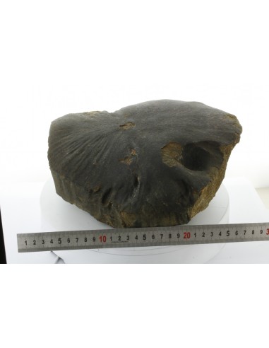 Oriented Chondrite Meteorite 9.85 kg | Shield Shape & Flow Lines