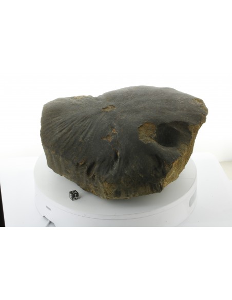 Oriented Chondrite Meteorite 9.85 kg | Shield Shape & Flow Lines