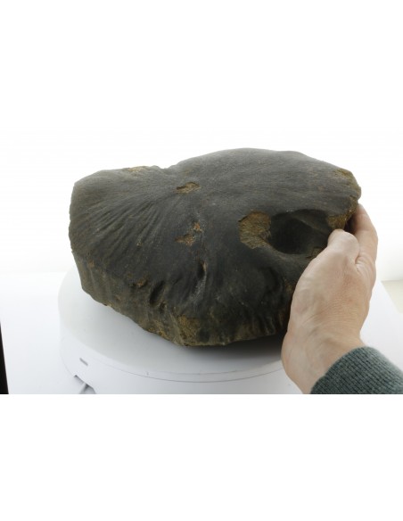 Oriented Chondrite Meteorite 9.85 kg | Shield Shape & Flow Lines
