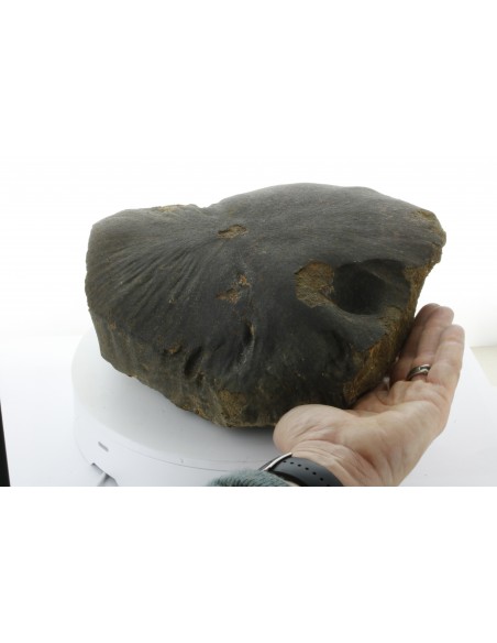 Oriented Chondrite Meteorite 9.85 kg | Shield Shape & Flow Lines