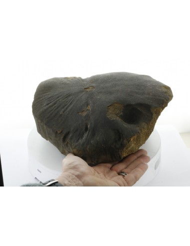 Oriented Chondrite Meteorite 9.85 kg | Shield Shape & Flow Lines