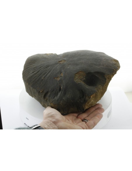 Oriented Chondrite Meteorite 9.85 kg | Shield Shape & Flow Lines
