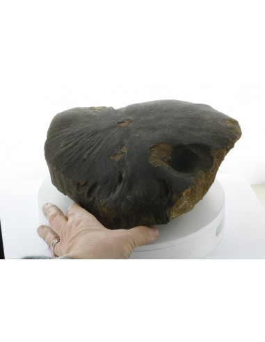Oriented Chondrite Meteorite 9.85 kg | Shield Shape & Flow Lines