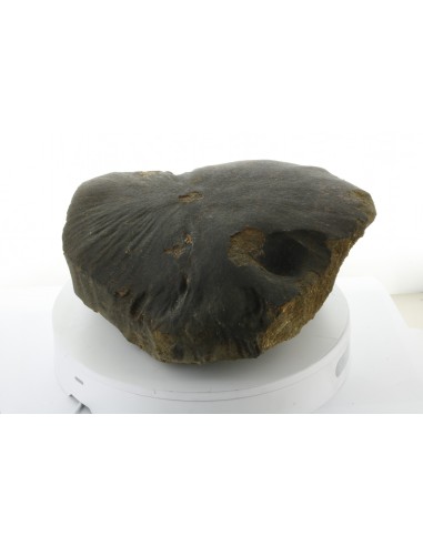 Oriented Chondrite Meteorite 9.85 kg | Shield Shape & Flow Lines