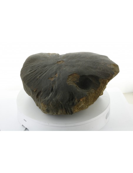 Oriented Chondrite Meteorite 9.85 kg | Shield Shape & Flow Lines