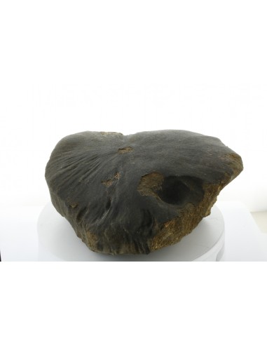 Oriented Chondrite Meteorite 9.85 kg | Shield Shape & Flow Lines