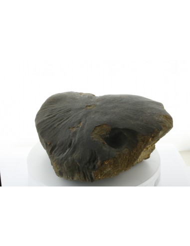 Oriented Chondrite Meteorite 9.85 kg | Shield Shape & Flow Lines
