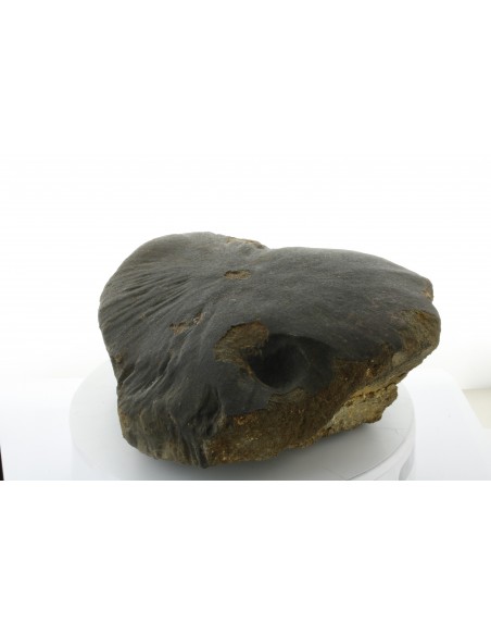 Oriented Chondrite Meteorite 9.85 kg | Shield Shape & Flow Lines