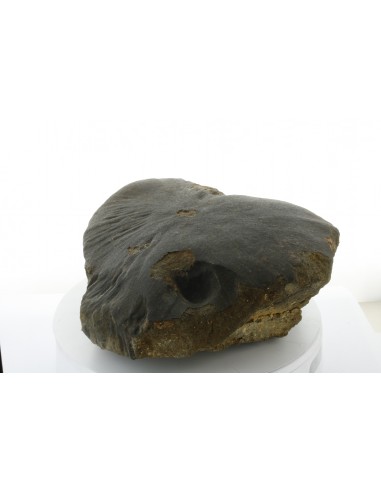 Oriented Chondrite Meteorite 9.85 kg | Shield Shape & Flow Lines