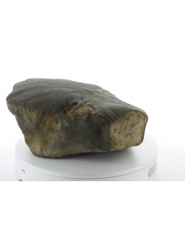 Oriented Chondrite Meteorite 9.85 kg | Shield Shape & Flow Lines