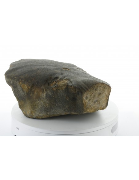 Oriented Chondrite Meteorite 9.85 kg | Shield Shape & Flow Lines