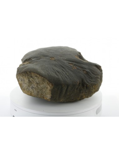 Oriented Chondrite Meteorite 9.85 kg | Shield Shape & Flow Lines