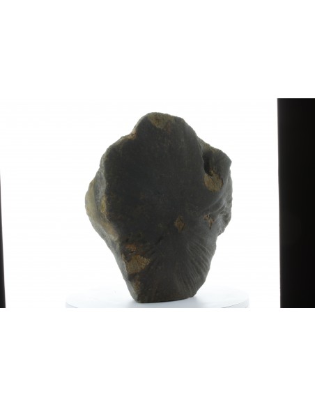Oriented Chondrite Meteorite 9.85 kg | Shield Shape & Flow Lines