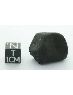 Tarda CM2 Carbonaceous Chondrite 10.42 g | Complete Meteorite