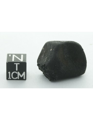 Tarda CM2 Carbonaceous Chondrite 10.42 g | Complete Meteorite