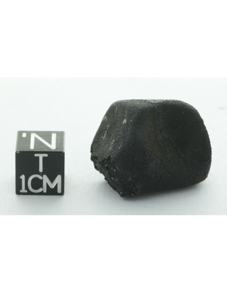 Tarda CM2 Carbonaceous Chondrite 10.42 g | Complete Meteorite