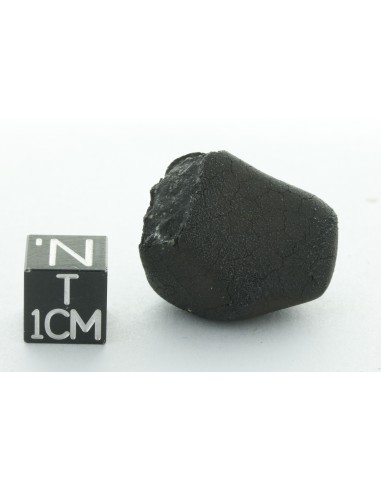 Tarda CM2 Carbonaceous Chondrite 10.42 g | Complete Meteorite