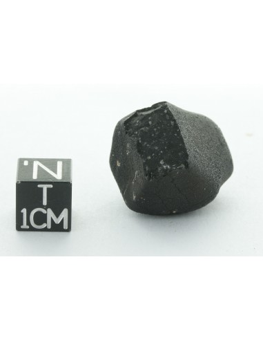 Tarda CM2 Carbonaceous Chondrite 10.42 g | Complete Meteorite