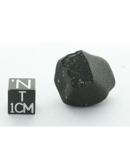 Tarda CM2 Carbonaceous Chondrite 10.42 g | Complete Meteorite
