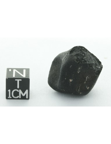 Tarda CM2 Carbonaceous Chondrite 10.42 g | Complete Meteorite