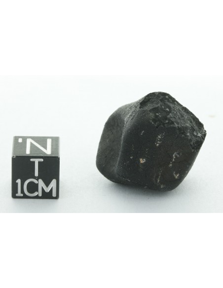 Tarda CM2 Carbonaceous Chondrite 10.42 g | Complete Meteorite