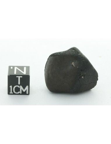 Tarda CM2 Carbonaceous Chondrite 10.42 g | Complete Meteorite
