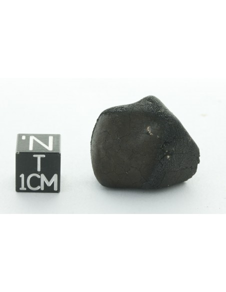 Tarda CM2 Carbonaceous Chondrite 10.42 g | Complete Meteorite