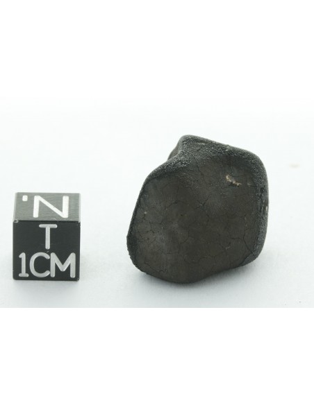Tarda CM2 Carbonaceous Chondrite 10.42 g | Complete Meteorite