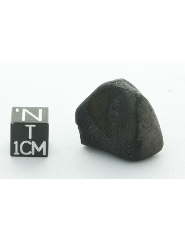 Tarda CM2 Carbonaceous Chondrite 10.42 g | Complete Meteorite