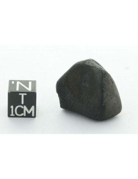 Tarda CM2 Carbonaceous Chondrite 10.42 g | Complete Meteorite