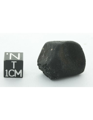 Tarda CM2 Carbonaceous Chondrite 10.42 g | Complete Meteorite