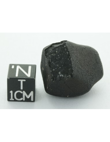 Tarda CM2 Carbonaceous Chondrite 10.42 g | Complete Meteorite
