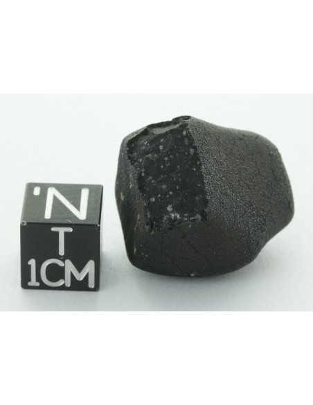 Tarda CM2 Carbonaceous Chondrite 10.42 g | Complete Meteorite