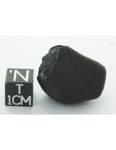 Tarda CM2 Carbonaceous Chondrite 10.42 g | Complete Meteorite