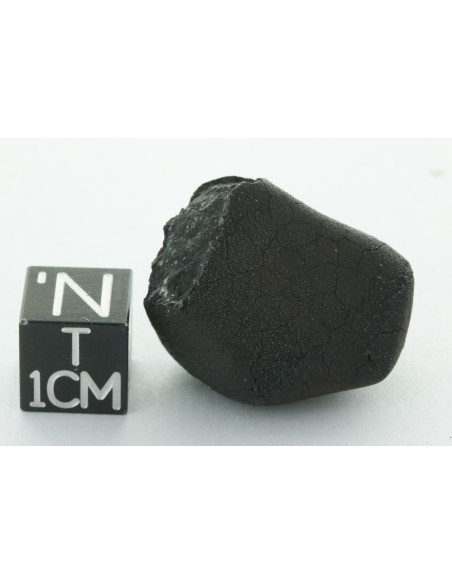 Tarda CM2 Carbonaceous Chondrite 10.42 g | Complete Meteorite