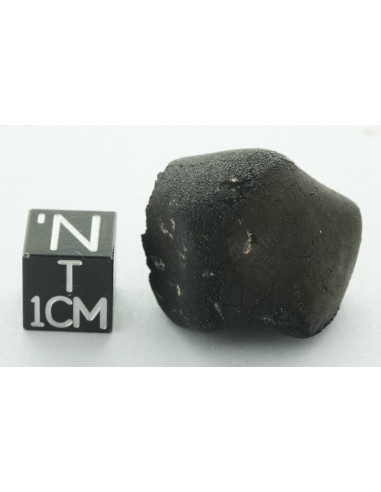 Tarda CM2 Carbonaceous Chondrite 10.42 g | Complete Meteorite
