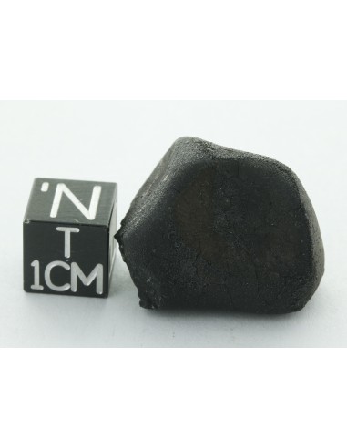 Tarda CM2 Carbonaceous Chondrite 10.42 g | Complete Meteorite