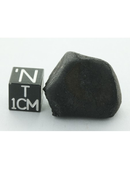 Tarda CM2 Carbonaceous Chondrite 10.42 g | Complete Meteorite